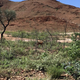 Illustration for article titled AWOL Around Australia... Part 36. The Pilbara. Part 3